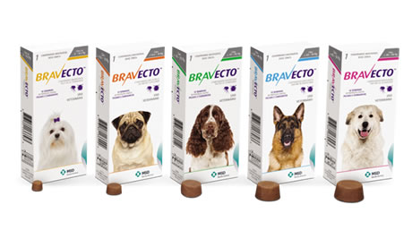 O Bravecto é a solução ideal para o controle e a prevenção de infestações de pulgas e carrapatos.