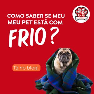 Read more about the article Como saber se meu pet está com frio?