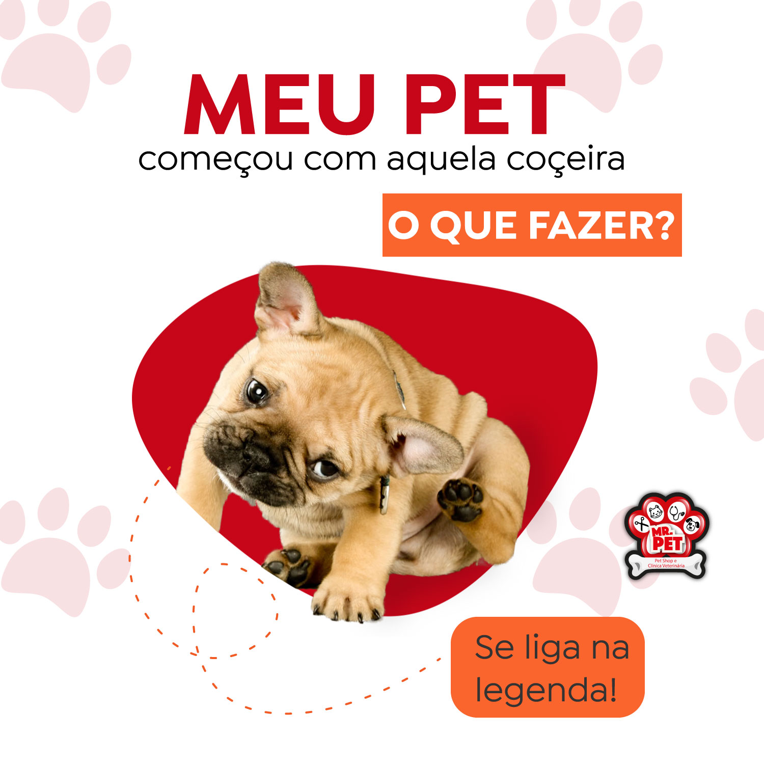 You are currently viewing Qual atitude tomar quando meu pet está com pulgas?