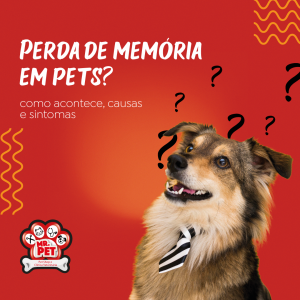 Perda de memórias em pets, existe?