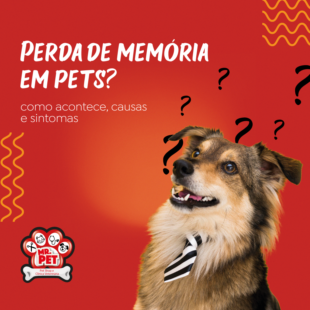 You are currently viewing Perda de memórias em pets, existe?